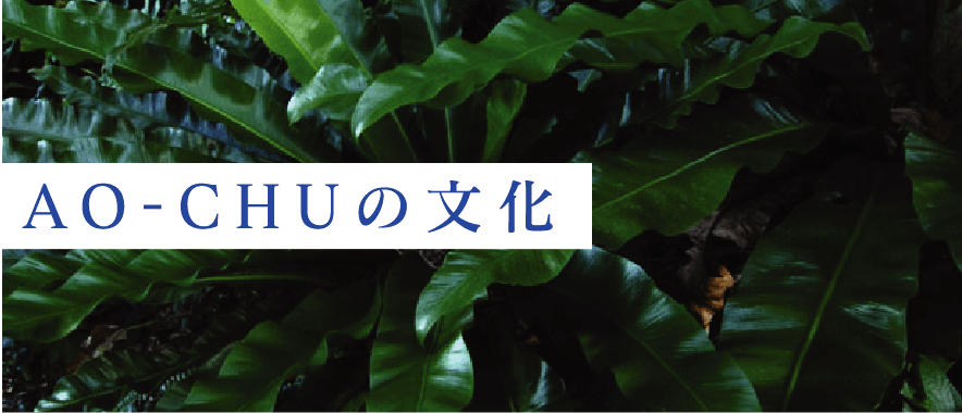 AO-CHU（青酎・あおちゅう）の文化 | 青ヶ島酒造 合資会社